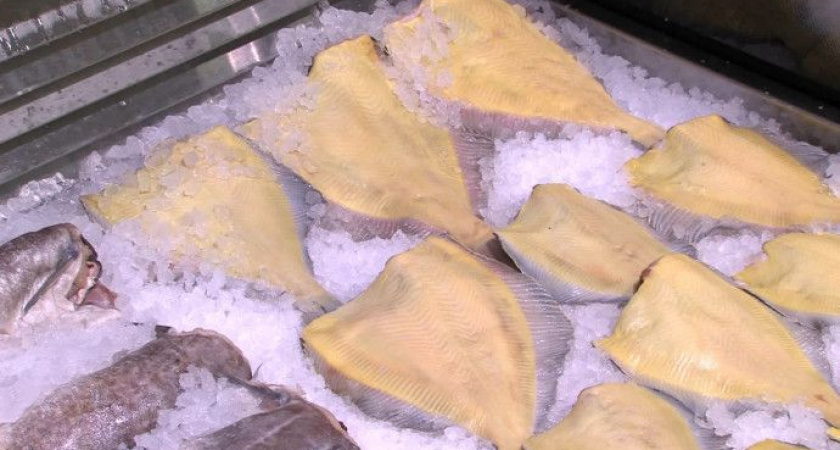 «Камчатская рыба»: перезагрузка