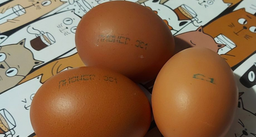 Молоденькие курочки и серьезные петухи прилетят на Камчатку в середине января