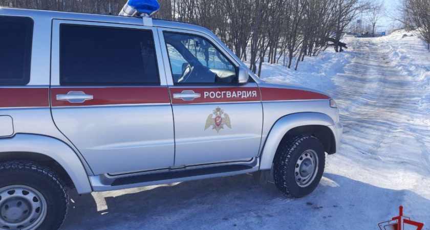 Росгвардейцы на Камчатке задержали вооруженного нарушителя