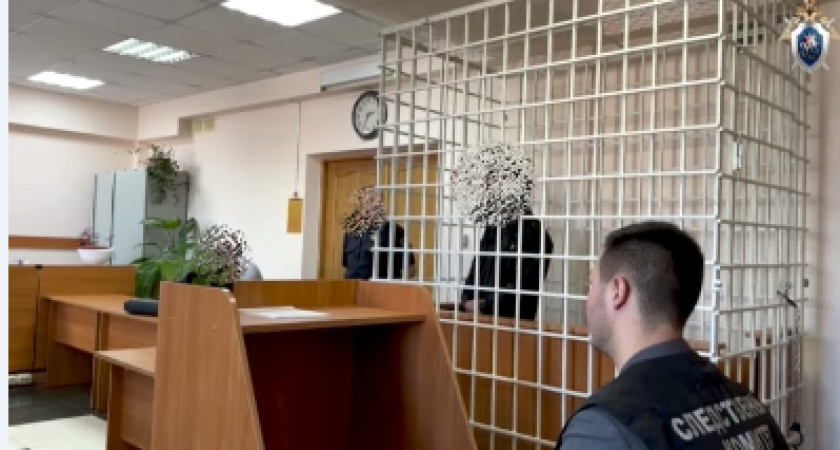 Житель Камчатки задушил приятеля из-за взятого без разрешения телефона