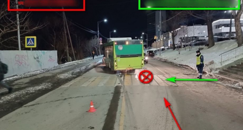 После ДТП с ребенком в столице Камчатки прокуратура проверит АО «Автопарк»