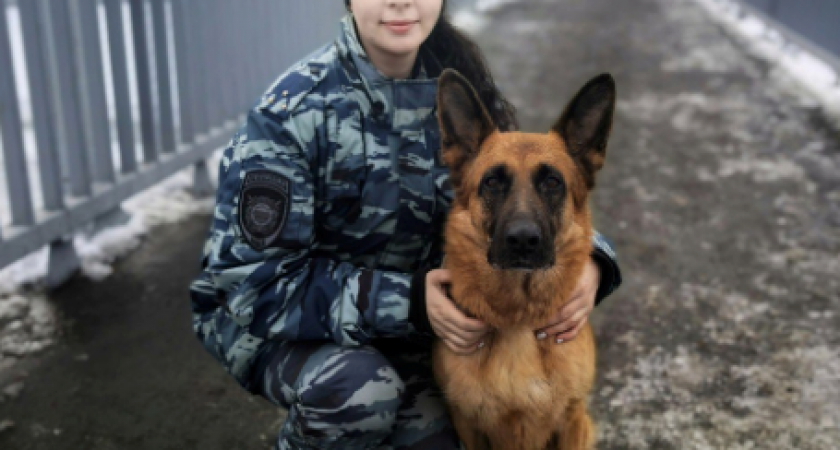 Полицейская овчарка Ларса на Камчатке раскрыла кражу по горячим следам