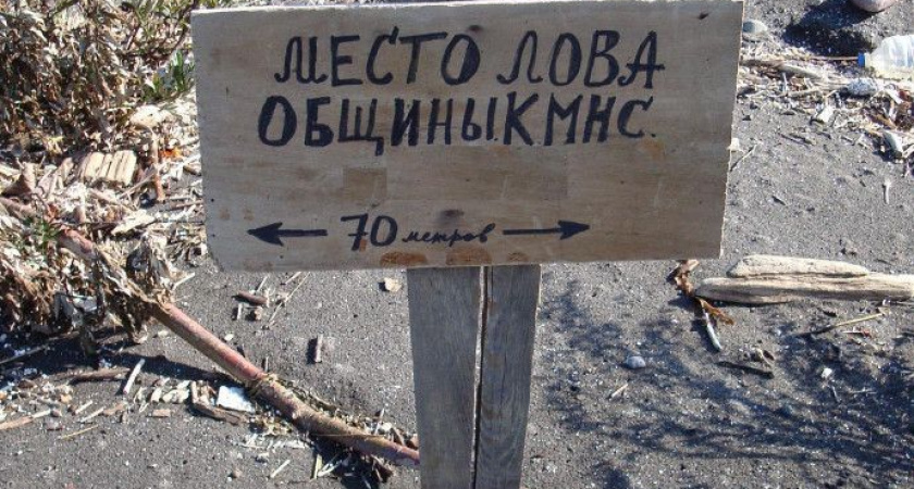 Для традиционного рыболовства на 2025 год выделено 960 тонн водных биоресурсов