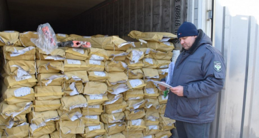 Дело потрошёного кижуча