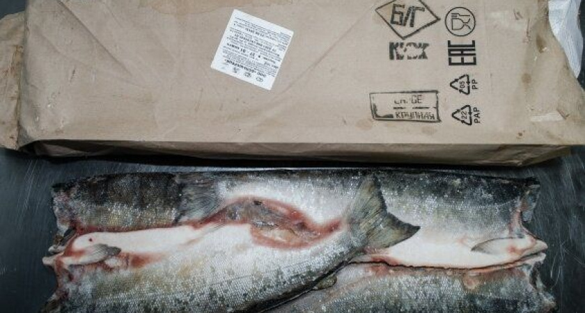 Пенсионеры Карагинского района получили рыбу в подарок к Новому году