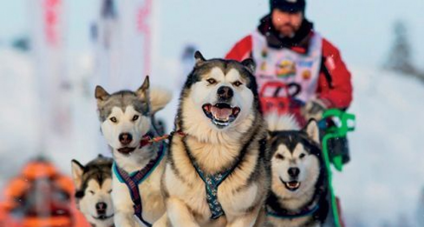 Более 20-ти каюров из разных регионов выйдут на старт «Берингии. Авача»