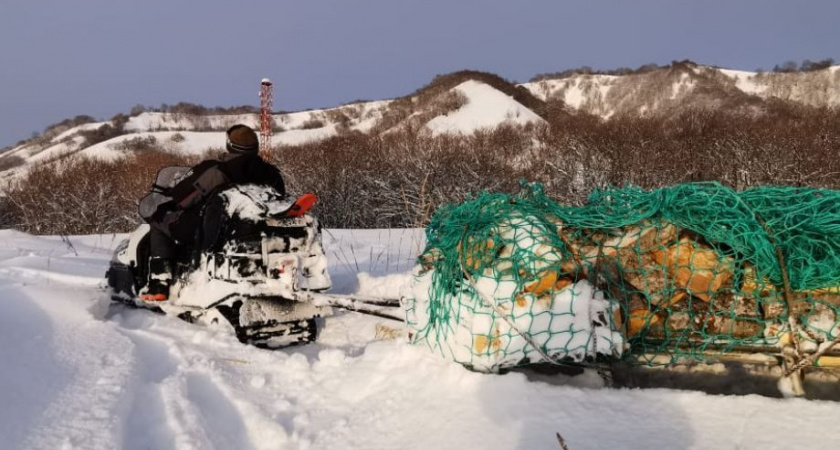 Откуда дровишки? Из океана! Чем отапливают дома инспекторы Кроноцкого заповедника на Камчатке