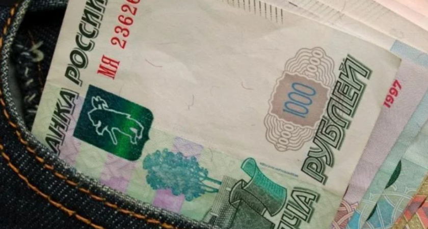  Крупное мошенничество с социальными выплатами разоблачили камчатские полицейские