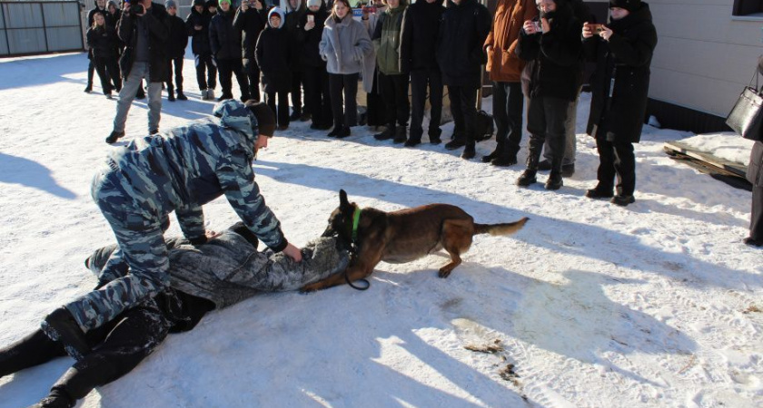 Старшеклассники Петропавловска-Камчатского посетили центр кинологической службы УМВД