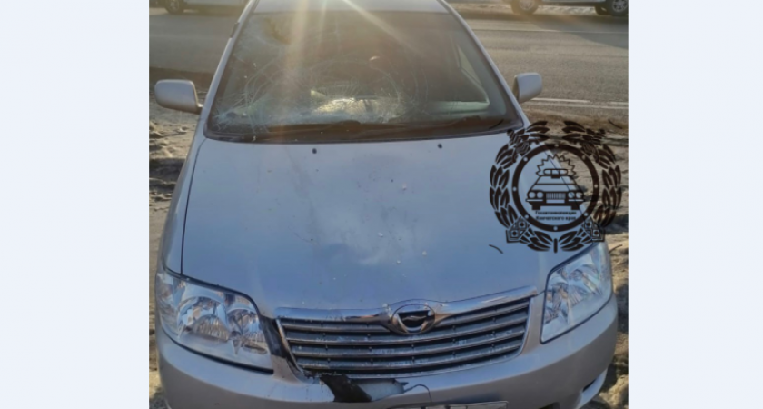 На Камчатке водитель «Короллы» сбил 69-летнего пешехода 