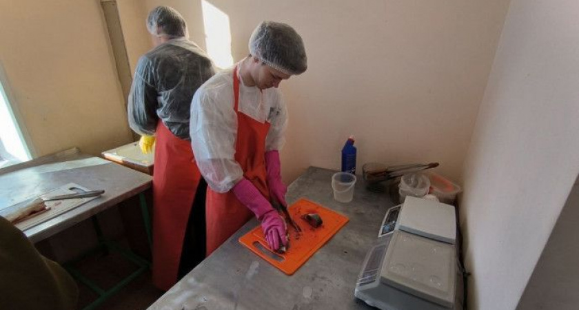 В обработчики пойду, пусть меня научат!