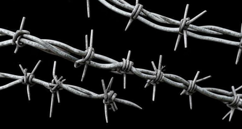 На Камчатке задержали банду серийных воров