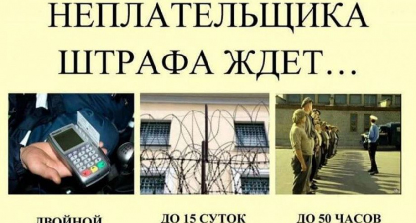 270 камчатских автомобилистов могут «загреметь» на 15 суток за неуплату штрафов