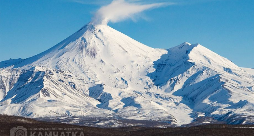 Главное за неделю на Камчатке. Выпуск от 31 января