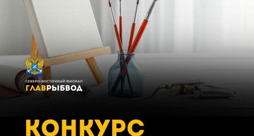 Камчатка создаёт логотип экопроекта «Жизнь камчатскому лососю!» 