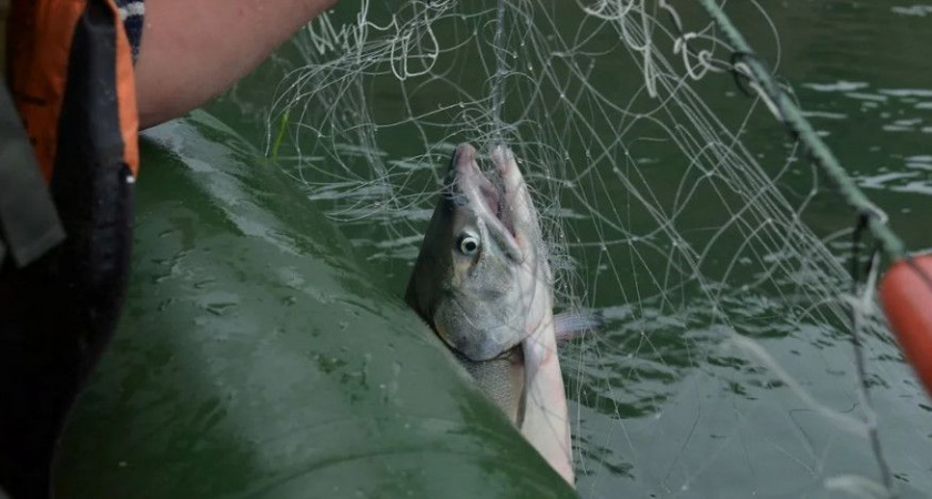 Любители рыбалки на Камчатке могут зарегистрировать сети через «Госуслуги»