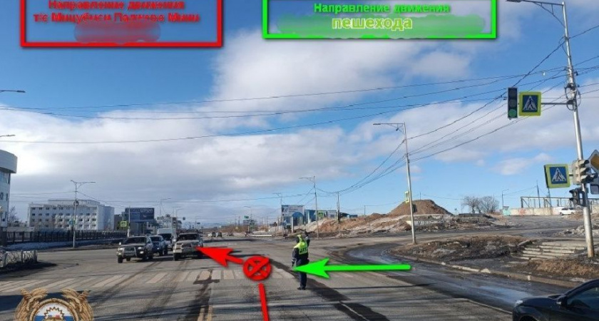 9-летнюю девочку в столице Камчатки сбил на «зебре» 79-летний пенсионер