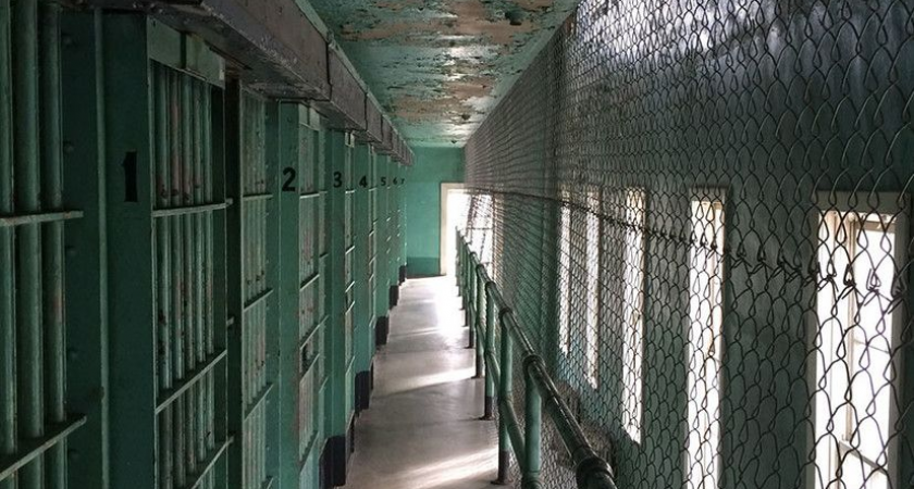 "Высокие чувства" заставили жителя Камчатки вывезти девушку в лес и изнасиловать