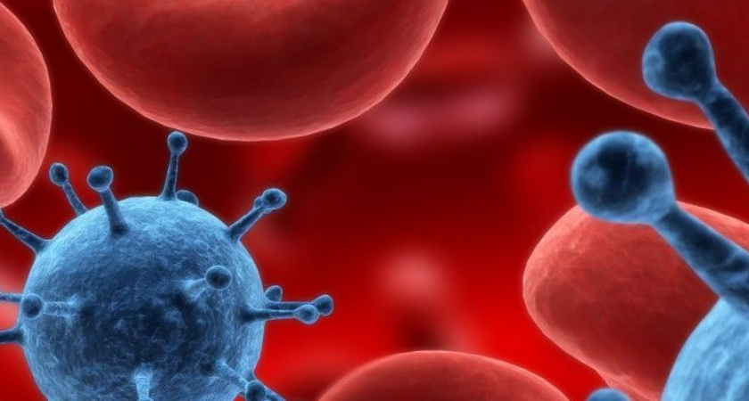 За год на Камчатке выявили 108 новых заболевших ВИЧ