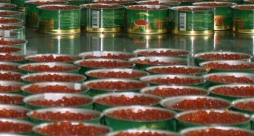 Онлайн-конференция по маркировке икры лососёвых пройдёт на Камчатке