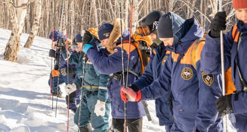 Камчатские спасатели отработали навыки поиска людей из-под лавины
