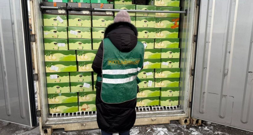 На Камчатку впервые в этом году привезли более 100 тонн овощей и фруктов из Китая