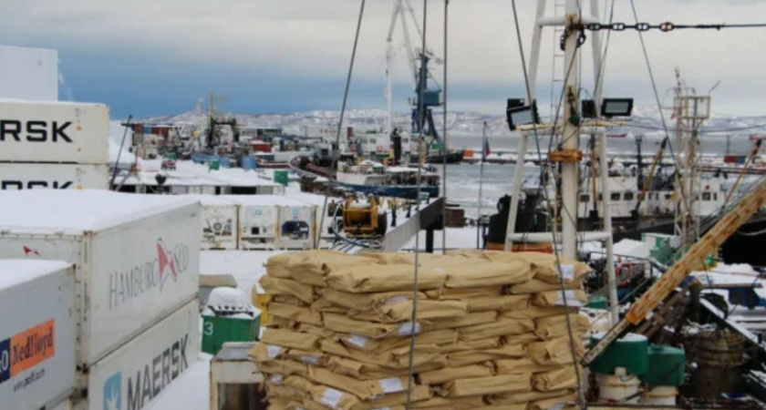 Камчатский край увеличил экспорт рыбной продукции