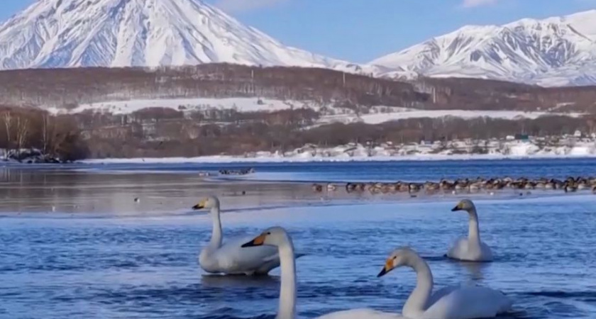 На Камчатке выявлены тепловые загрязнения озера Халактырское