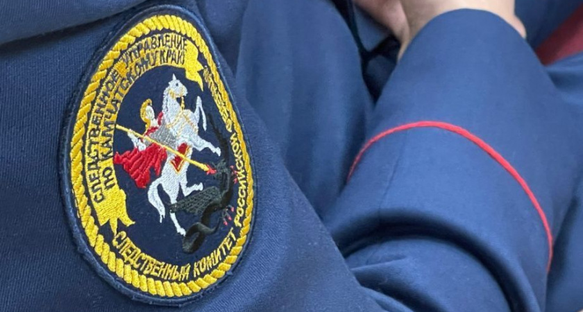 Камчатского ревнивца накажут за использование шпионского гаджета