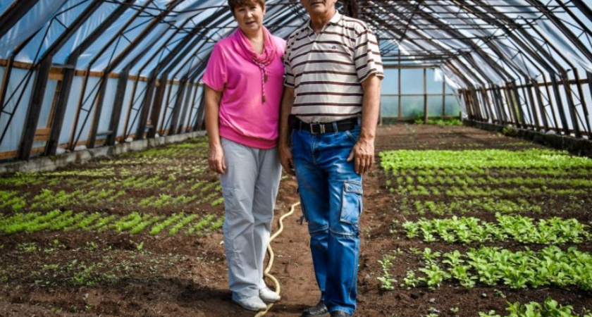 Семья фермеров на Камчатке развивают туризм на «дальневосточных гектарах»