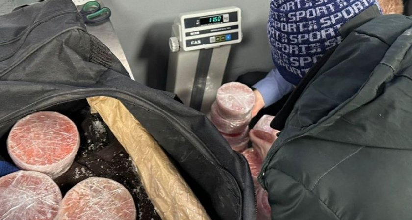  Почти 1,4 тонны икры без документов вывезли с Камчатки за неделю