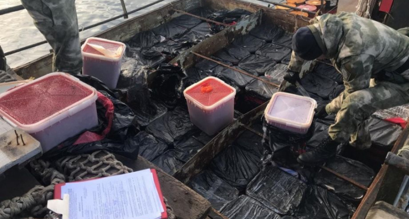 Ирина Яровая: Вывоз красной икры ограничат из Чукотки и из Хабаровского края