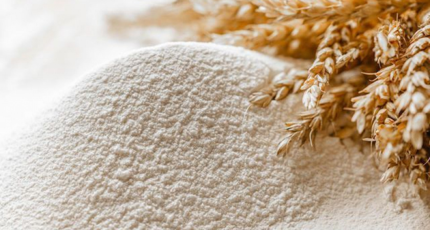 Очередной фальшивый муковоз на Севере Камчатки попал под следствие