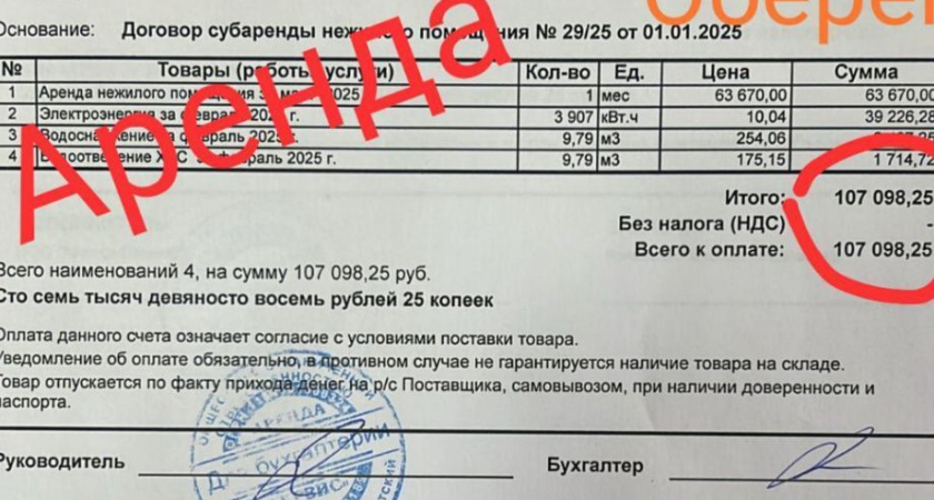 Приют для кошек «Оберег» в столице Камчатки просит поддержки земляков