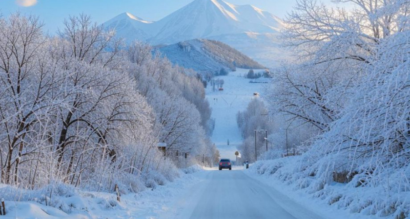Бензиновый рай на Севере Камчатки: жители Паланы радуются АИ-92 за 115 рублей