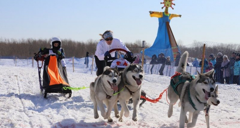 На Камчатке стартует фестиваль зимних видов спорта «Снежный путь»