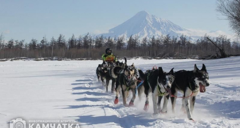 Ирина Яровая поприветствовала камчатцев на зимнем фестивале «Снежный путь» 