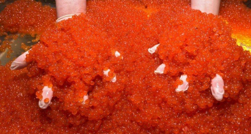 Продажа тухлой икры обернулась для мошенницы с Камчатки колонией