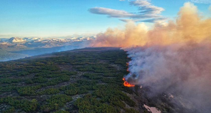 Пожары на Камчатке могут начаться раньше из-за малого снега