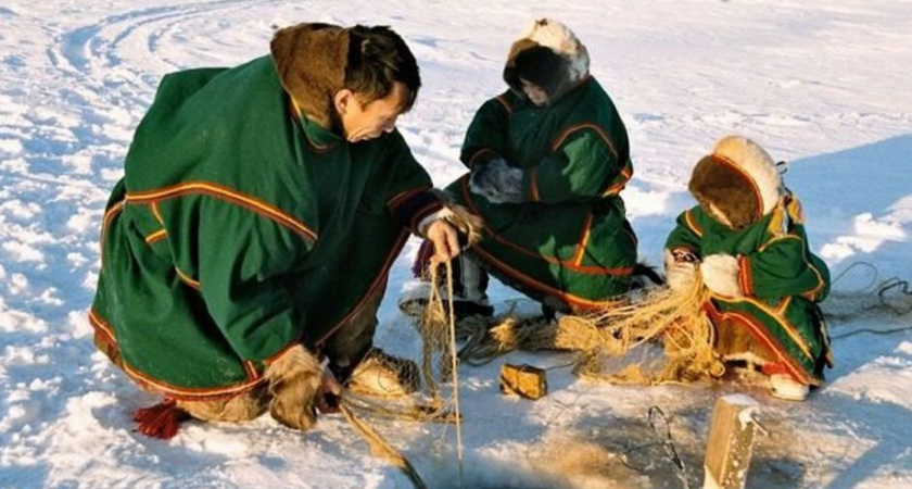 КМНС Камчатки смогут выловить свыше 1,6 тыс. тонн корюшки и гольца