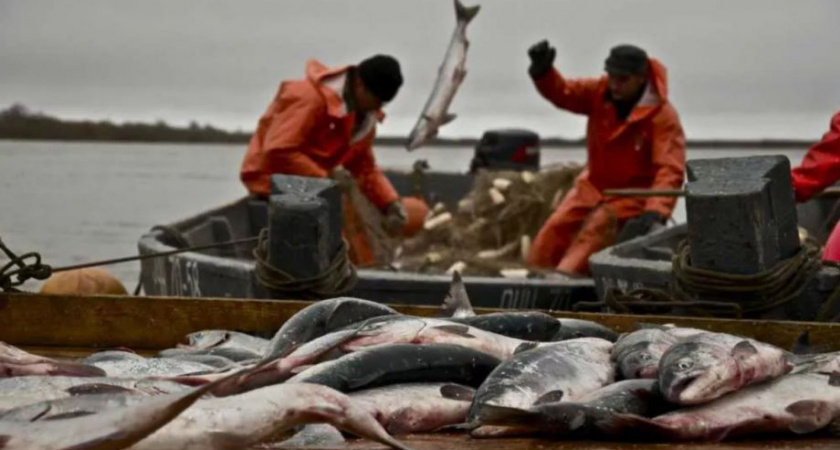 Губернатор Камчатки выступает за равные права на вылов водных биоресурсов для старожилов и коренных народностей 