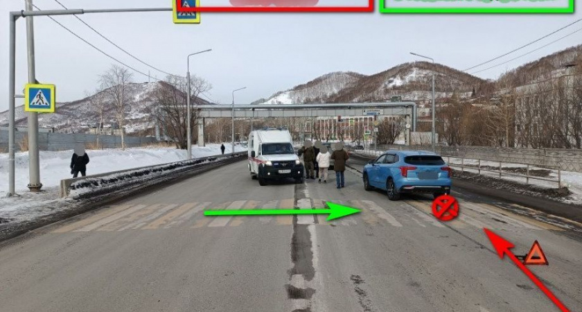 Двое пешеходов на Камчатке тяжело пострадали в ДТП