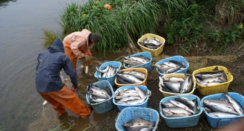 Губернатор призвал вернуть старожилам доступ к водным биоресурсам