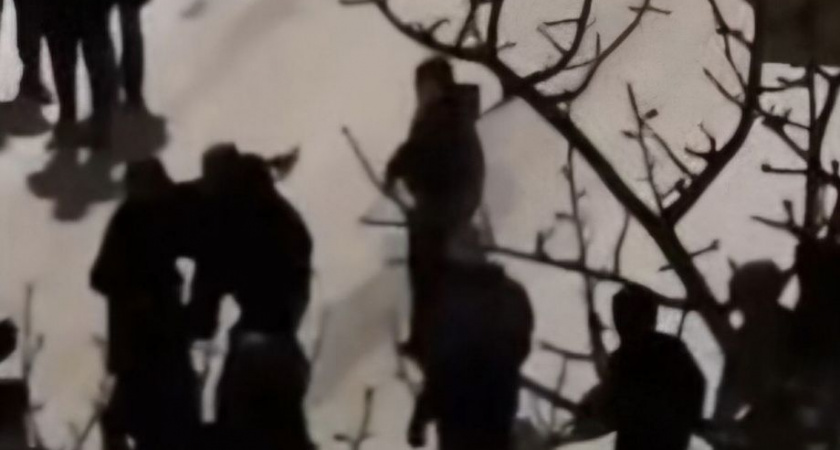 СКР на Камчатке разбирается с избиением девочки, нападавшие установлены