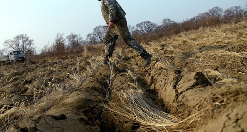 Юрий Трутнев предложил расширить программу «Дальневосточный гектар» на всю территорию России