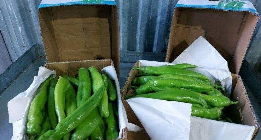 В Приморье на границе выявили опасный вирус в партии овощей из Китая  