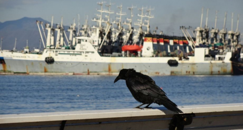Обожженный моряк на Камчатке добился справедливости через инспекцию труда