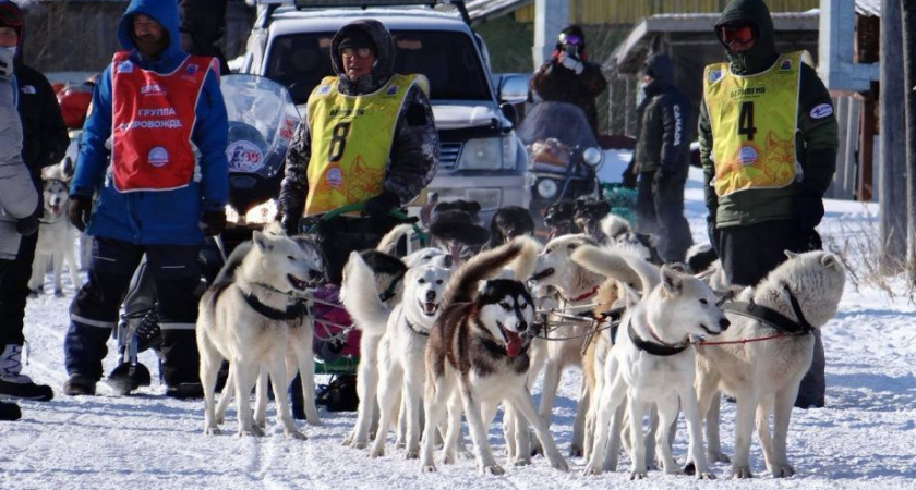 Ковран встретил гонку "Берингия"