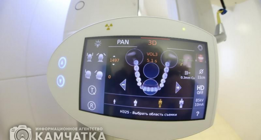 Стоматологи Камчатки дали рекомендации, как не потерять зубы