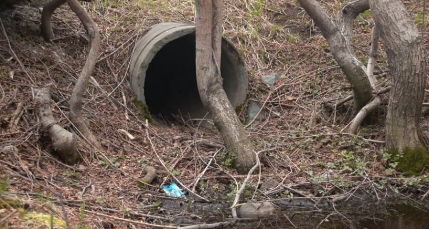На Камчатке готовятся к тотальной очистке бассейна Култучного озера